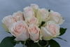 HIGH & BRIDAL